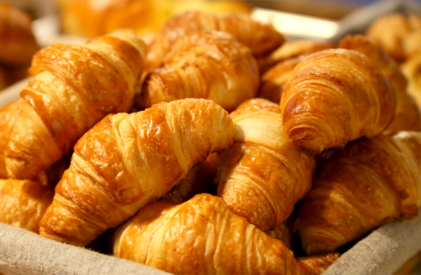 Front Office Operation 